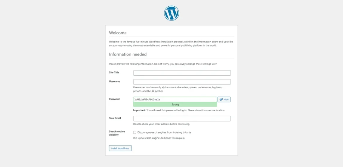 How to Install WordPress: A Beginner’s Guide, Step 4: Running the WordPress Installation Script 2