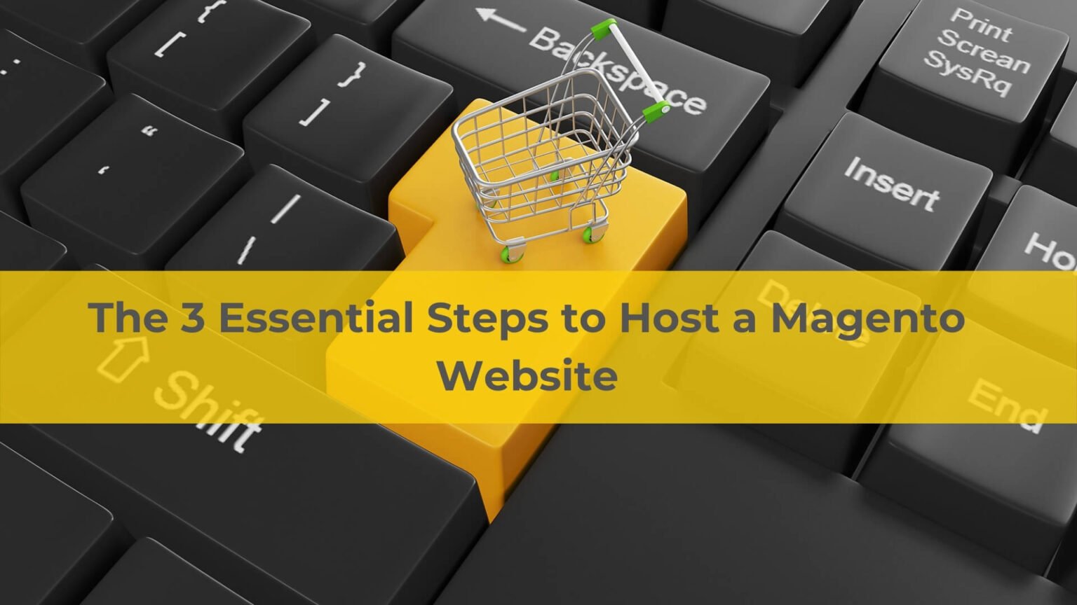 The 3 Essential Steps to Host a Magento Website ScalaHosting Blog