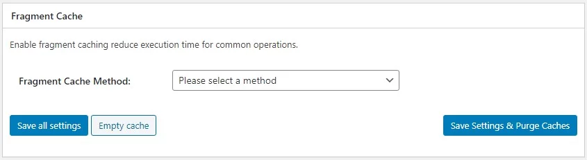 Optimize Website Speed with W3 Total Cache, Fragment Cache