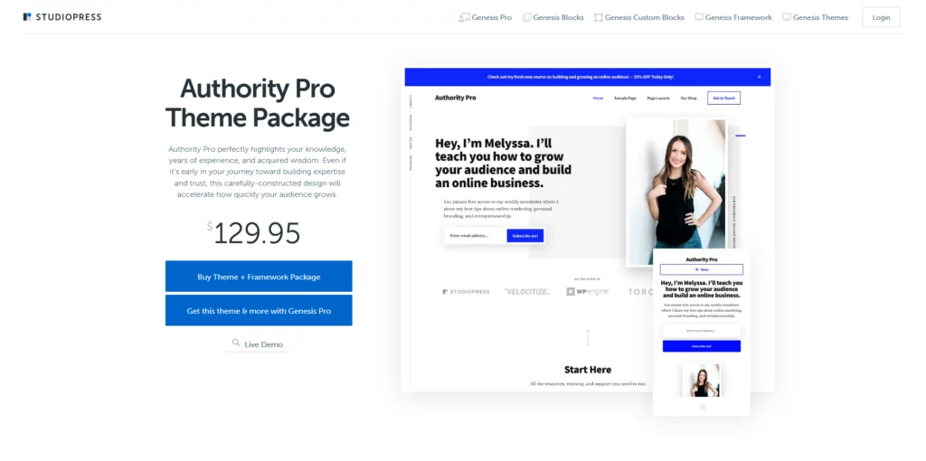 What Are the Top WordPress Themes in 2024?, Authority Pro