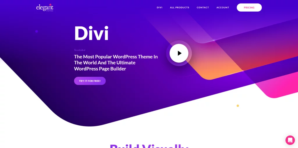 What Are the Top WordPress Themes in 2024?, Divi