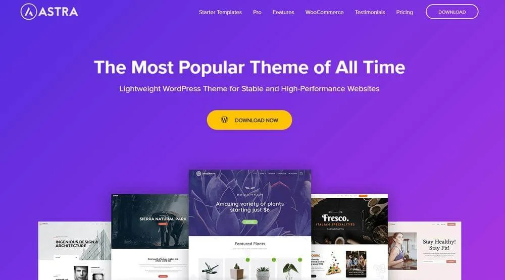 Best WooCommerce Themes for Digital Products, Astra