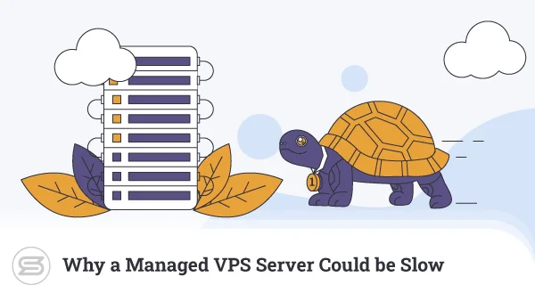 Why-a-Managed-VPS-Server-Could-be-Slow-600x338