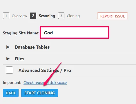 How to Create a Staging Site, 8. In the following step, name your new staging site and hit the Start Cloning button.