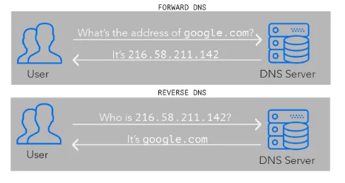 How to configure reverse DNS, What’s Reverse DNS?
